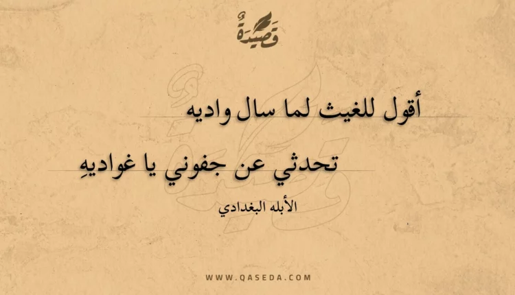 قصيدة أقول للغيث لما سال واديه