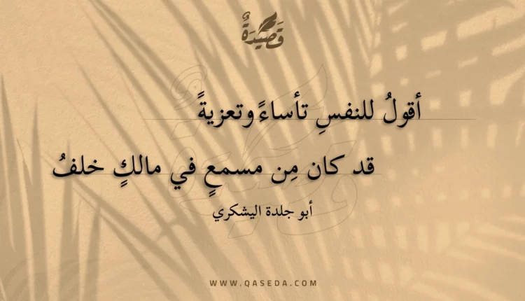 قصيدة أقول للنفس تأساء وتعزية