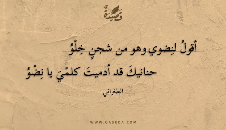 قصيدة أقول لنضوي وهو من شجن خلو