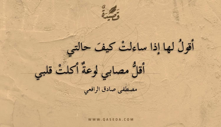 قصيدة أقول لها إذا ساءلت كيف حالتي