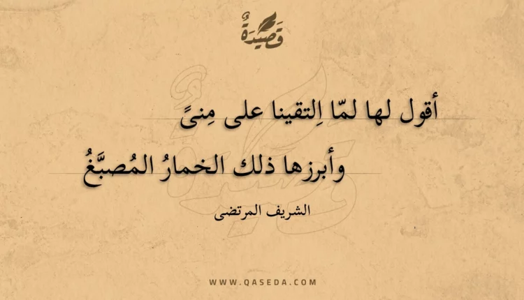 قصيدة أقول لها لما التقينا على منى