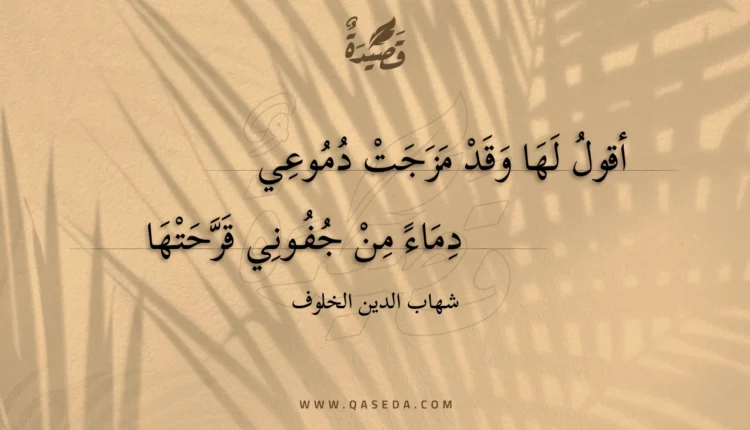 قصيدة أقول لها وقد مزجت دموعي