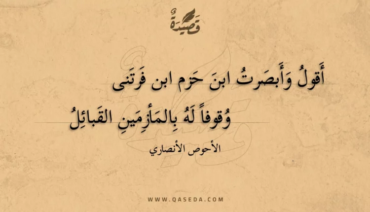 قصيدة أقول وأبصرت ابن حزم ابن فرتنى