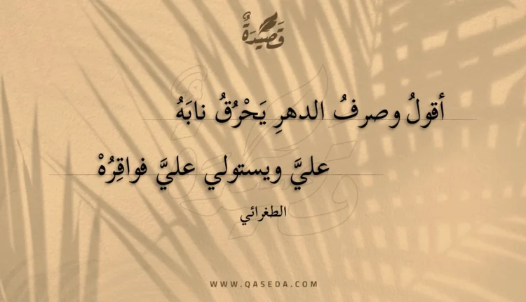 قصيدة أقول وصرف الدهر يحرق نابه