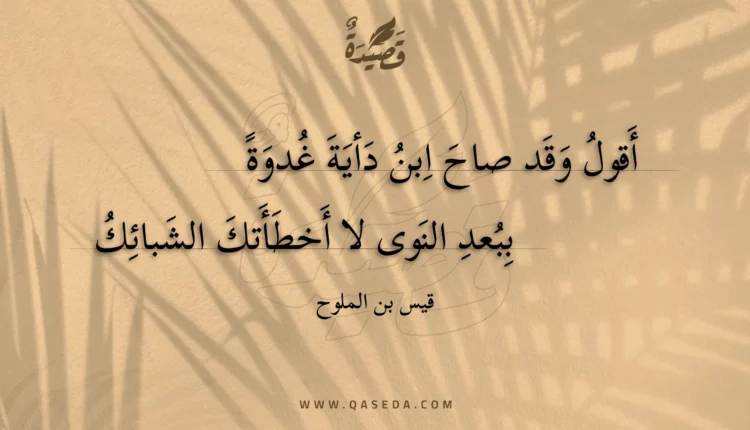 قصيدة أقول وقد صاح ابن دأية غدوة