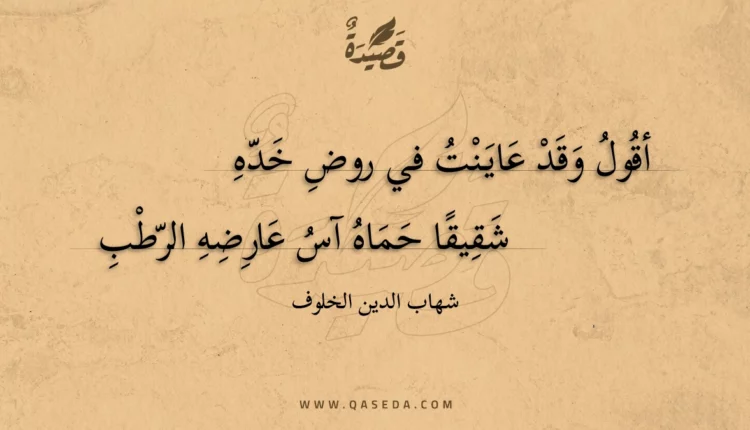 قصيدة أقول وقد عاينت في روض خده