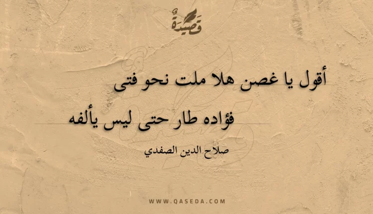 قصيدة أقول يا غصن هلا ملت نحو فتى