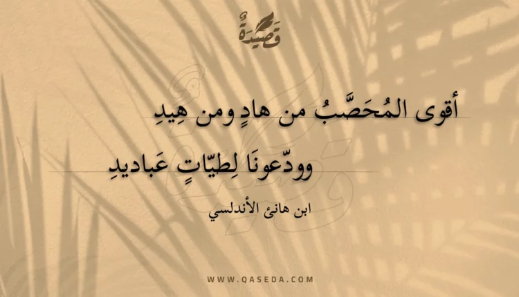 قصيدة أقوى المحصب من هاد ومن هيد