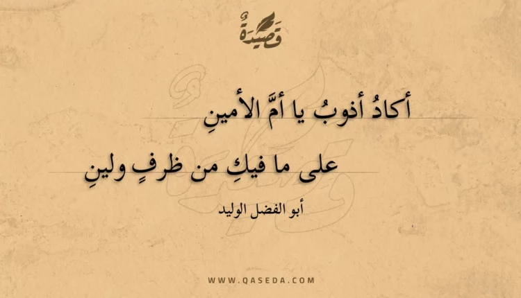 قصيدة أكاد أذوب يا أم الأمين