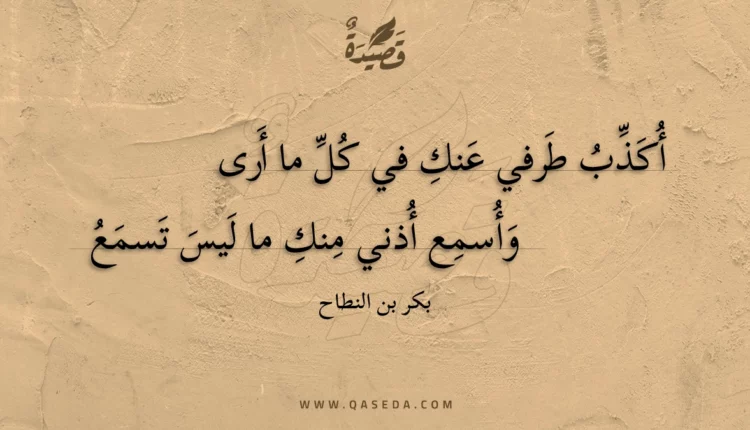قصيدة أكذب طرفي عنك في كل ما أرى