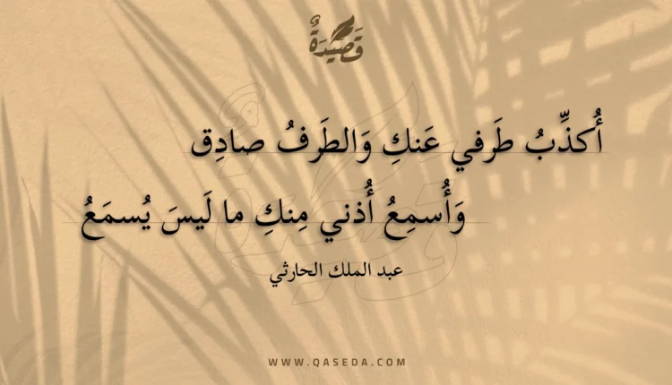 قصيدة أكذب طرفي عنك والطرف صادق