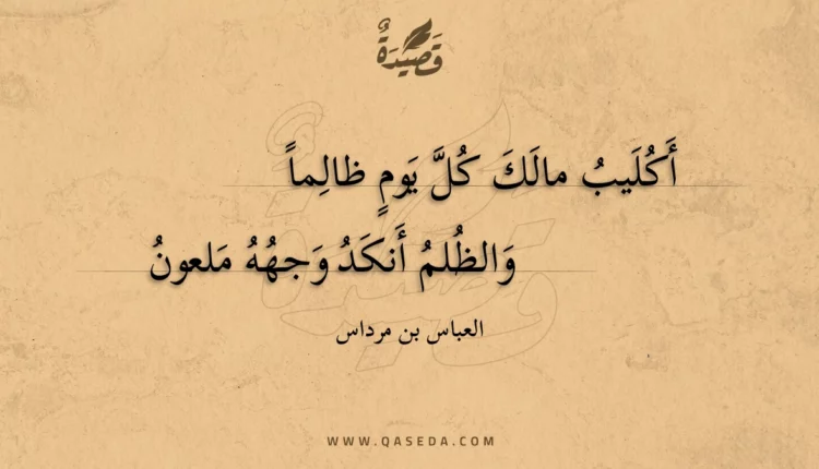 قصيدة أكليب مالك كل يوم ظالما