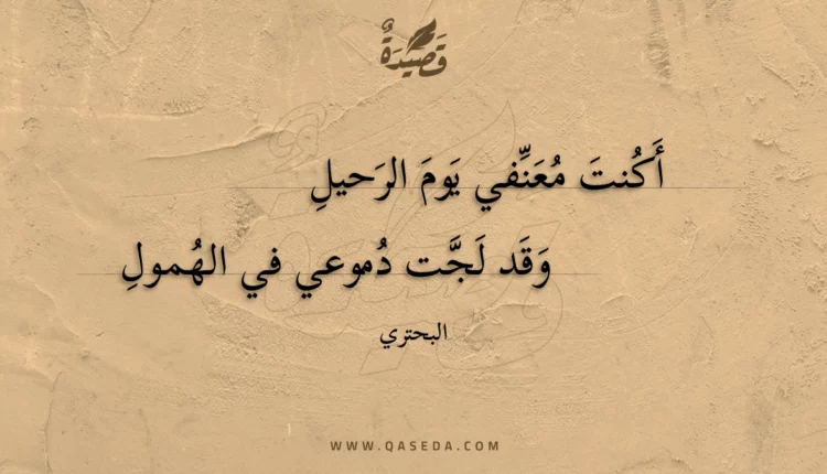 قصيدة أكنت معنفي يوم الرحيل
