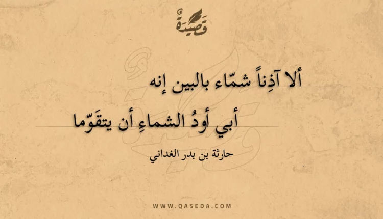 قصيدة ألا آذنا شماء بالبين إنه