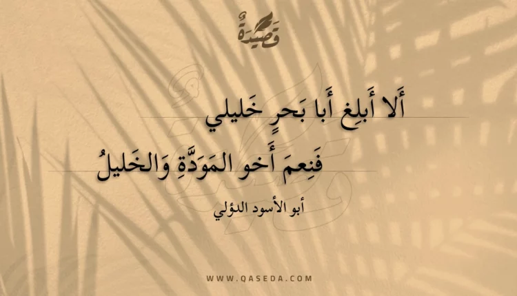 قصيدة ألا أبلغ أبا بحر خليلي