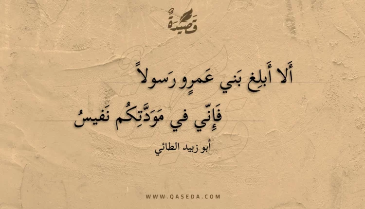 قصيدة ألا أبلغ بني عمرو رسولا