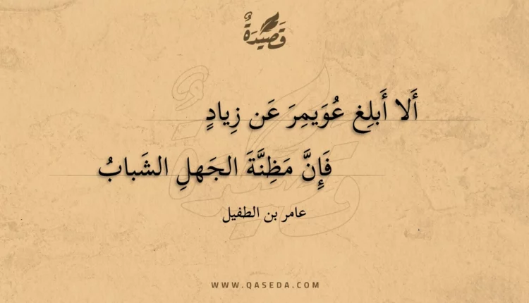 قصيدة ألا أبلغ عويمر عن زياد