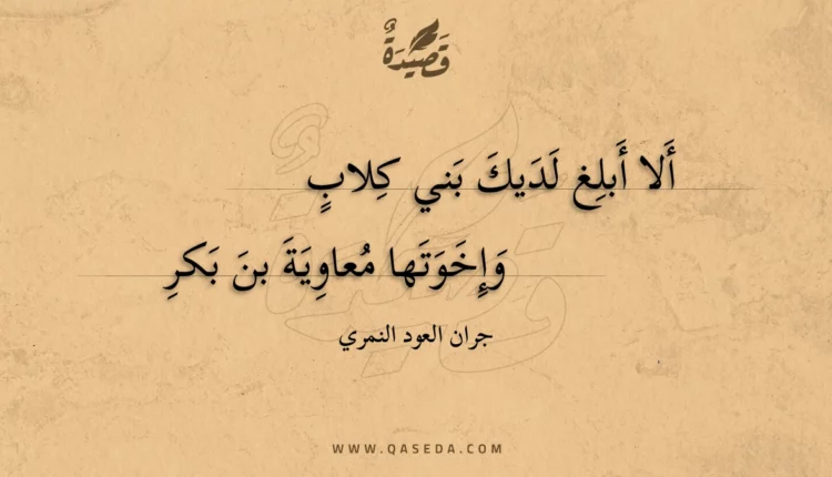 قصيدة ألا أبلغ لديك بني كلاب