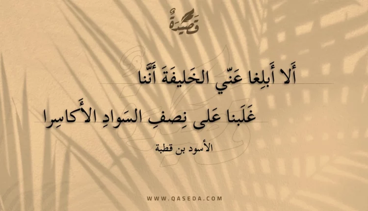 قصيدة ألا أبلغا عني الخليفة أننا