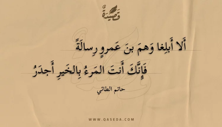 قصيدة ألا أبلغا وهم بن عمرو رسالة