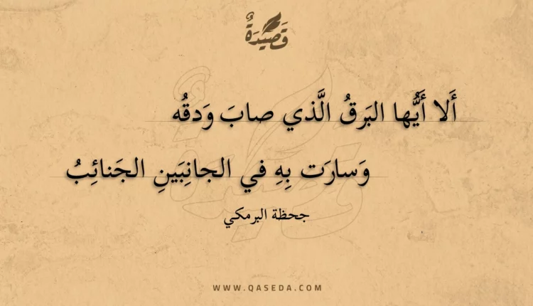 قصيدة ألا أيها البرق الذي صاب ودقه
