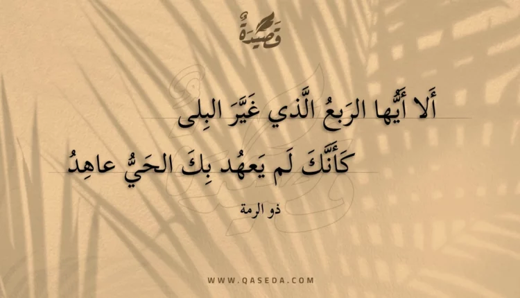 قصيدة ألا أيها الربع الذي غير البلى