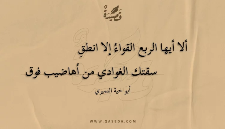 قصيدة ألا أيها الربع القواء إلا انطقِ