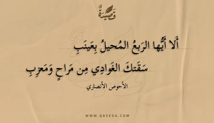 قصيدة ألا أيها الربع المحيل بعينب