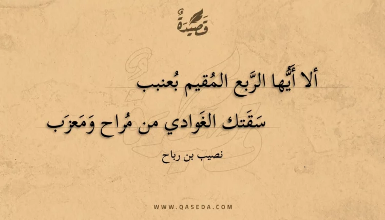 قصيدة ألا أيها الربع المقيم بعنبب