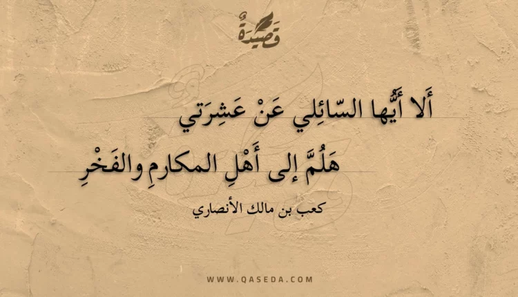 قصيدة ألا أيها السائلي عن عشرتي