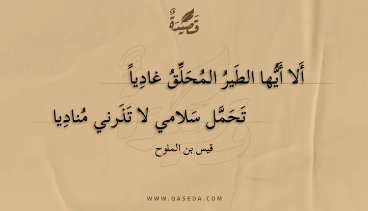قصيدة ألا أيها الطير المحلق غاديا