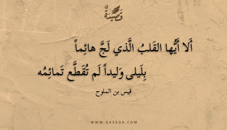 قصيدة ألا أيها القلب الذي لج هائما