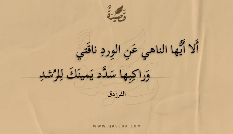 قصيدة ألا أيها الناهي عن الورد ناقتي