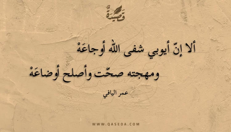 قصيدة ألا إن أيوبي شفى الله أوجاعه