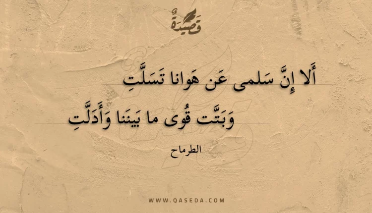 قصيدة ألا إن سلمى عن هوانا تسلت