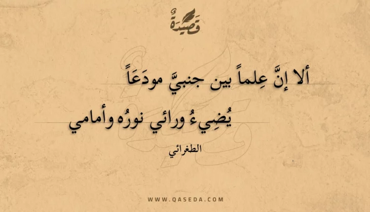 قصيدة ألا إن علما بين جنبي مودعا