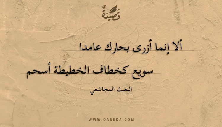 قصيدة ألا إنما أزرى بحارك عامدا