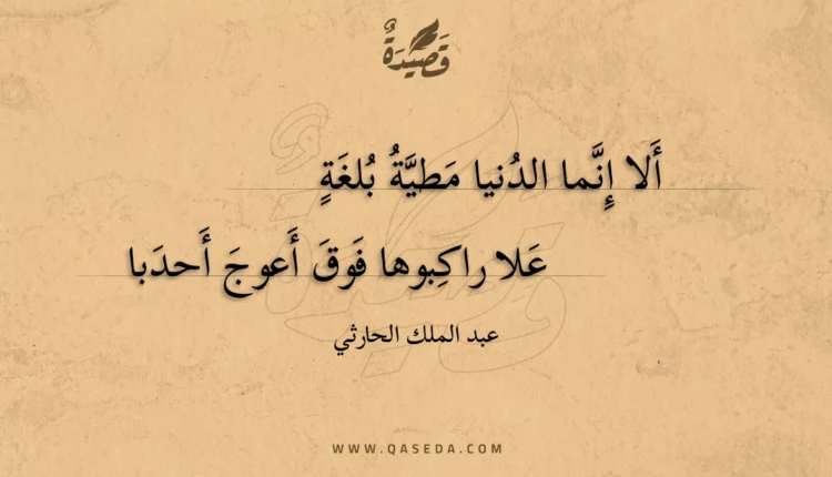 قصيدة ألا إنما الدنيا مطية بلغة