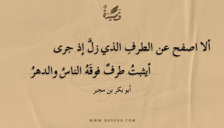 قصيدة ألا اصفح عن الطرف الذي زل إذ جرى