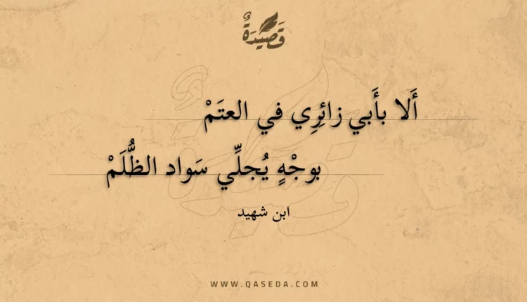 قصيدة ألا بأبي زائري في العتم