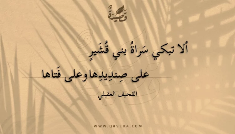 قصيدة ألا تبكي سراة بني قشير