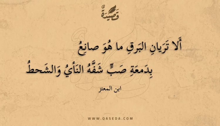 قصيدة ألا تريان البرق ما هو صانع