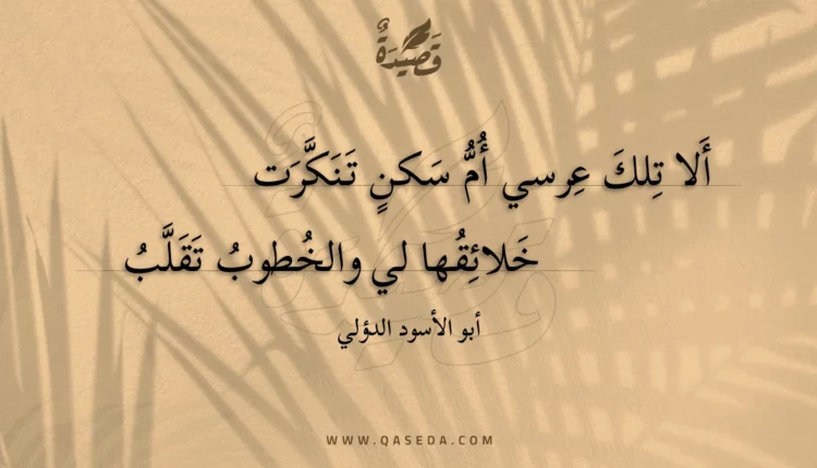 قصيدة ألا تلك عرسي أم سكن تنكرت