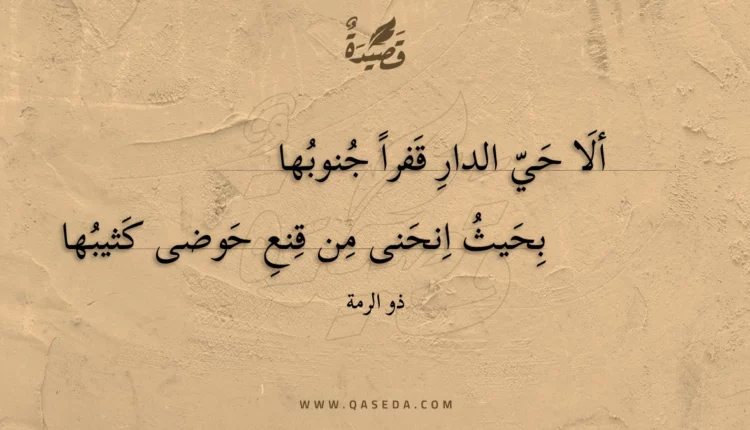 قصيدة ألا حي الدار قفرا جنوبها