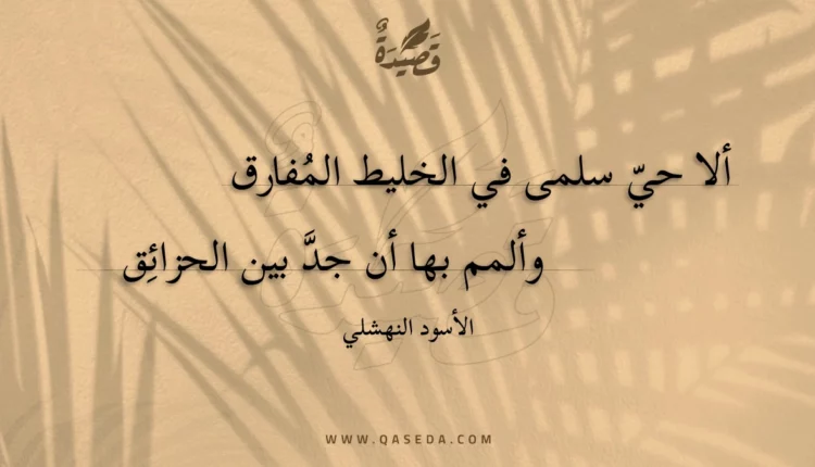 قصيدة ألا حي سلمى في الخليط المُفارق