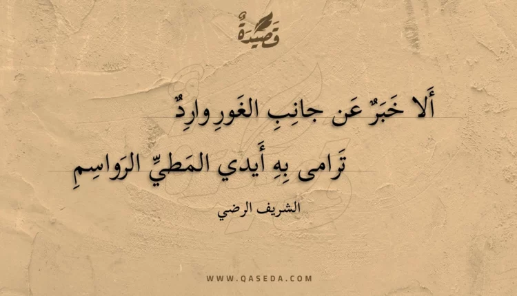 قصيدة ألا خبر عن جانب الغور وارد
