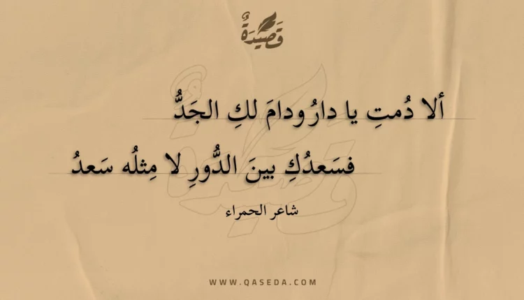 قصيدة ألا دمت يا دار ودام لك الجد