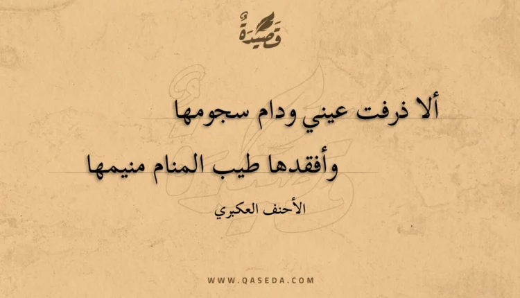 قصيدة ألا ذرفت عيني ودام سجومها