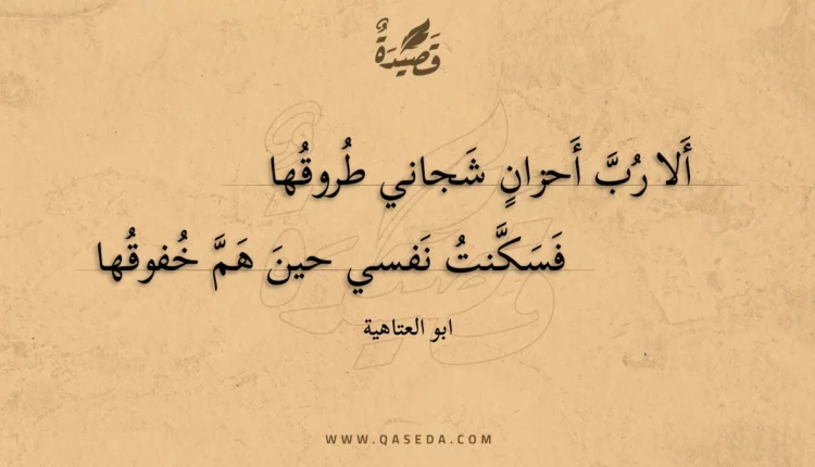 قصيدة ألا رب أحزان شجاني طروقها