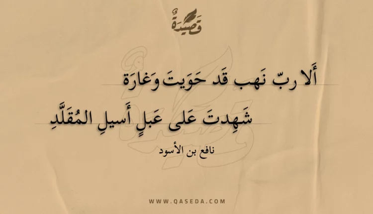 قصيدة ألا رب نهب قد حويت وغارة